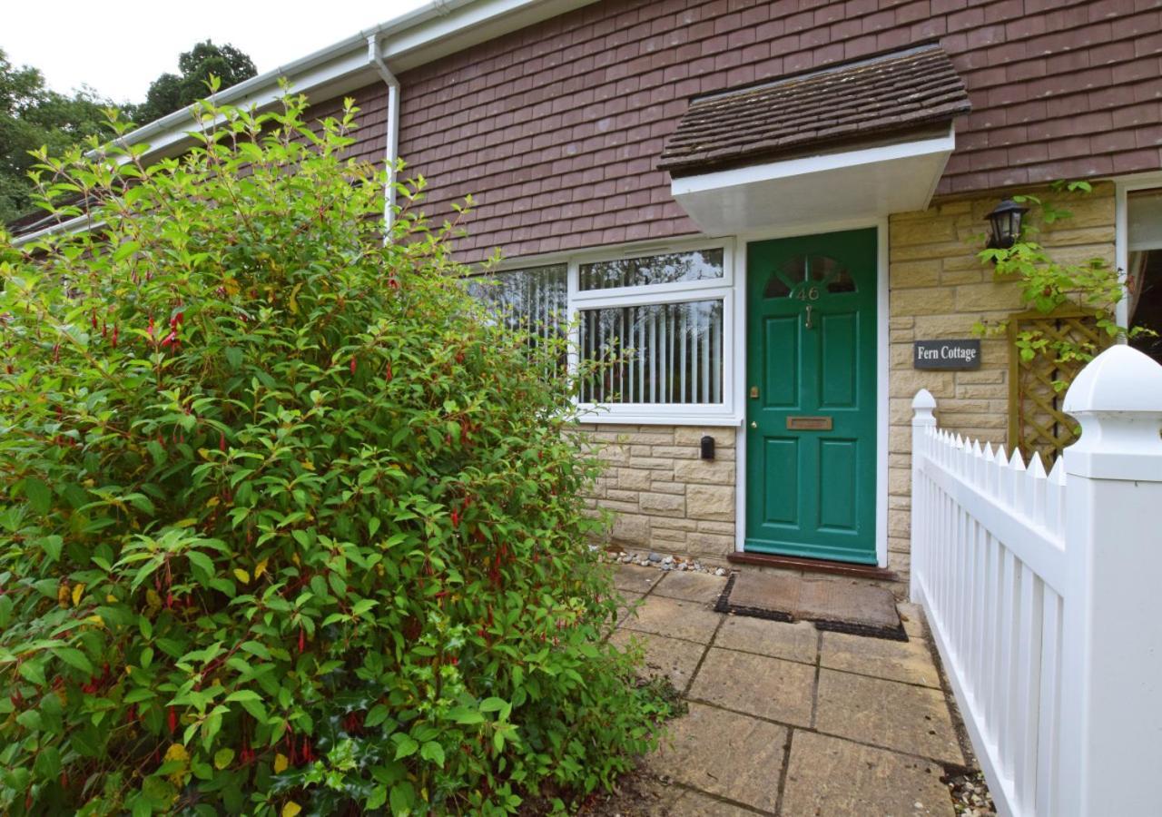 Fern Cottage Charmouth Eksteriør billede